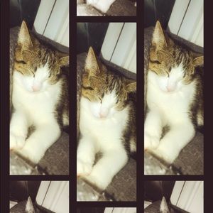 Meet your Posher, Tania